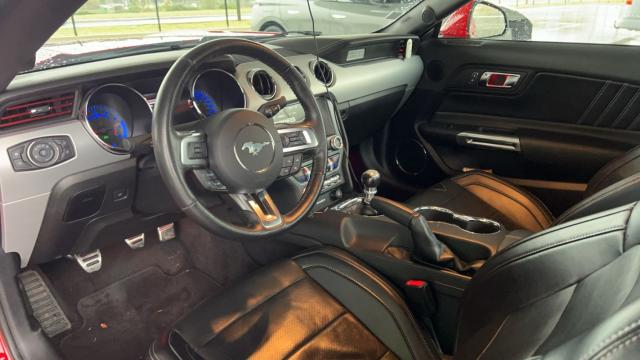 Ford Mustang image 8