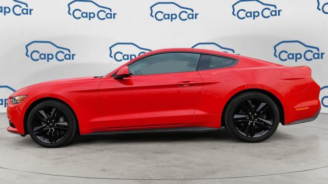 Ford Mustang image 9