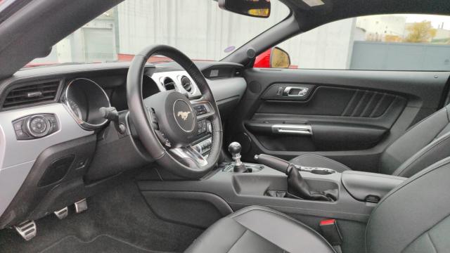 Ford Mustang image 6