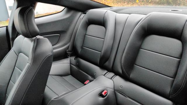 Ford Mustang image 2