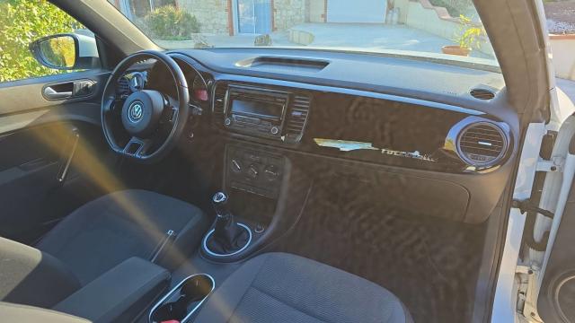 Volkswagen Beetle image 5