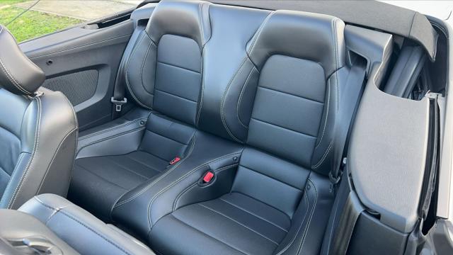 Ford Mustang image 4