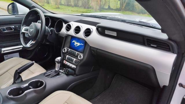 Ford Mustang image 1