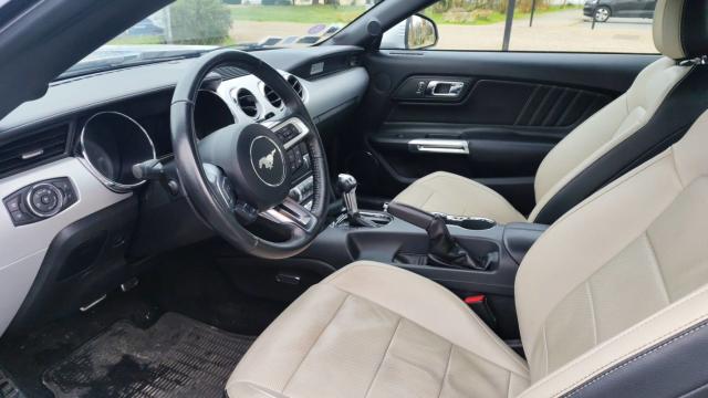 Ford Mustang image 3