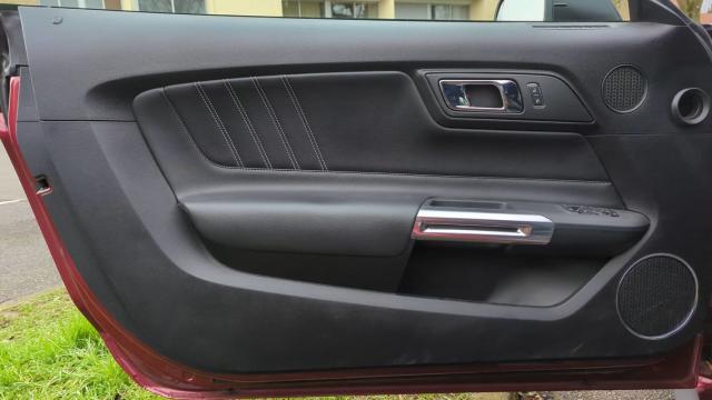 Ford Mustang image 1