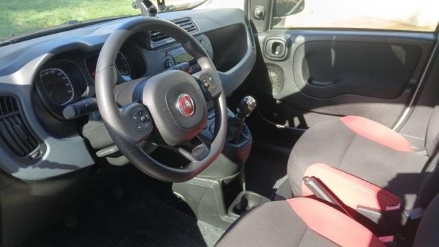 Fiat Panda image 3