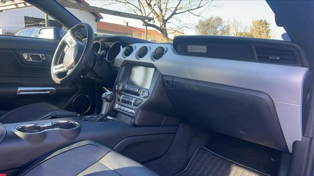 Ford Mustang image 1