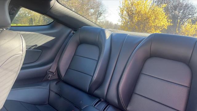 Ford Mustang image 4