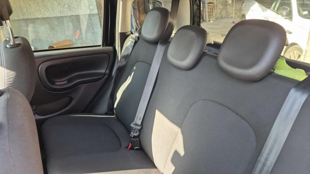 Fiat Panda image 4