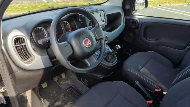 Fiat Panda image 3