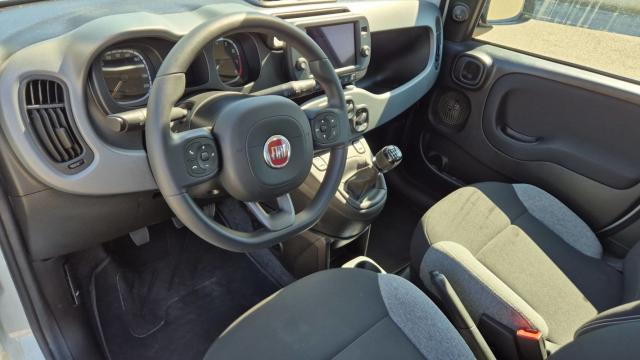 Fiat Panda image 1