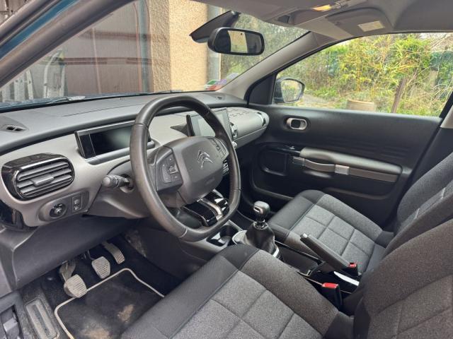 Citroen C4 Cactus image 5