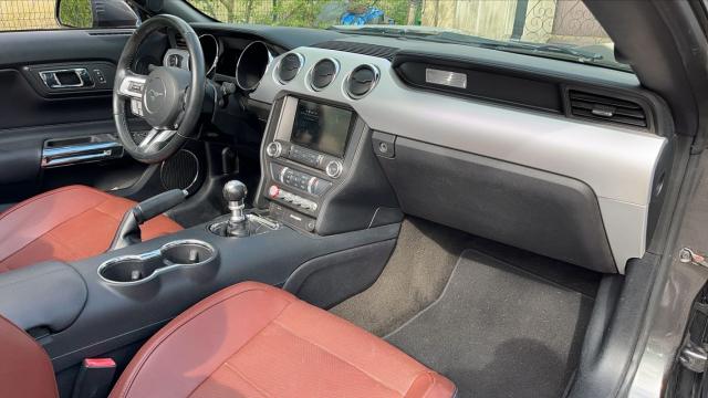 Ford Mustang image 4