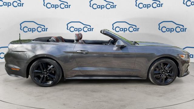 Ford Mustang image 3