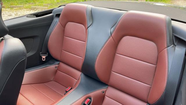 Ford Mustang image 8