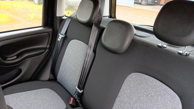 Fiat Panda image 6