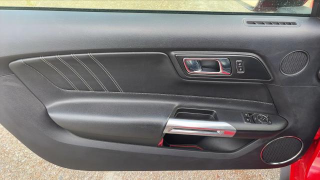 Ford Mustang image 3