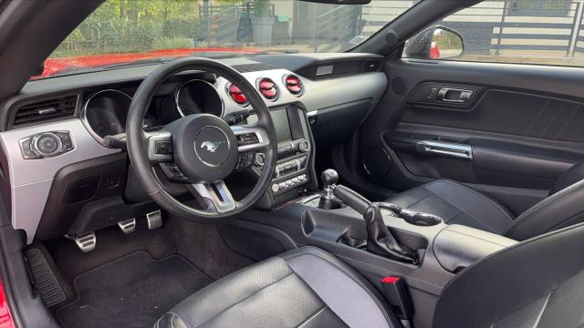 Ford Mustang image 4