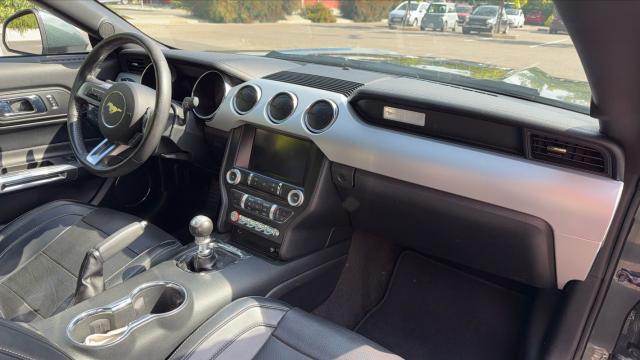 Ford Mustang image 4