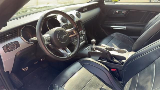 Ford Mustang image 6