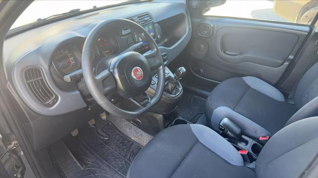 Fiat Panda image 5