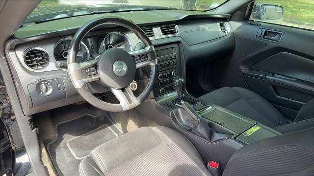Ford Mustang image 3