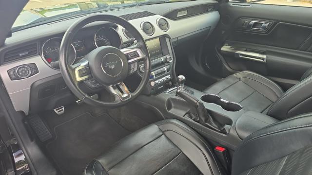 Ford Mustang image 2