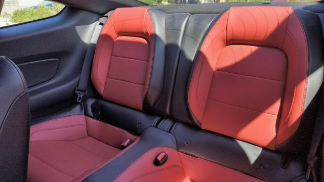 Ford Mustang image 1