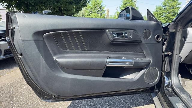 Ford Mustang image 1