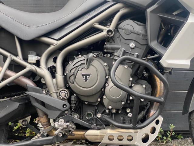 Triumph Tiger 800 Xca image 3