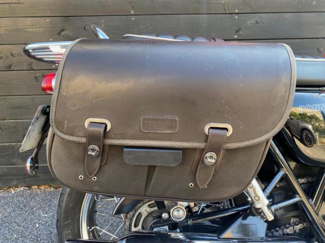 Triumph Bonneville image 3