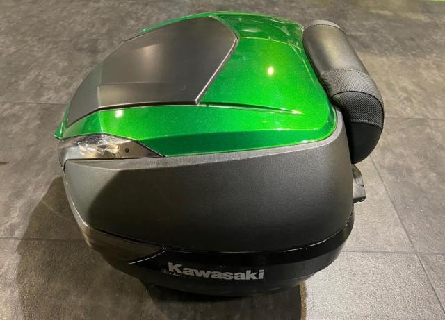 Ninja H2 Sx image 4