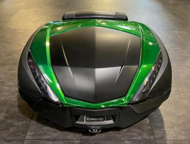 Ninja H2 Sx image 8