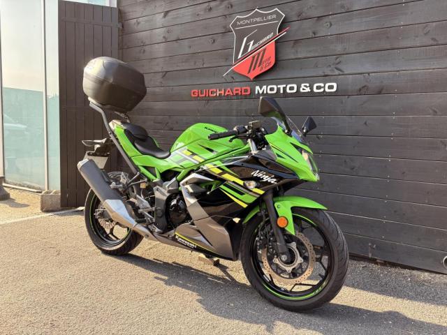 125 Ninja image 5