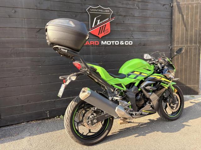 125 Ninja image 8