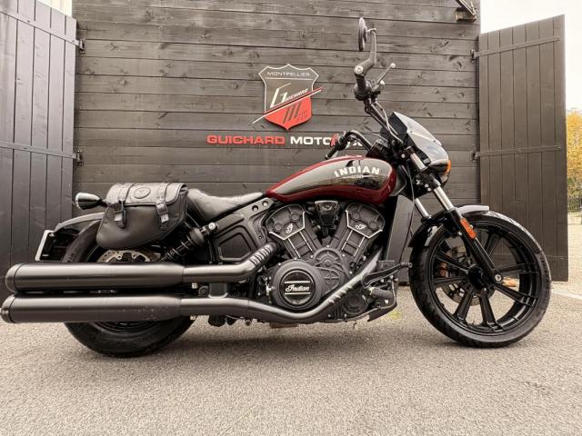 Indian Scout Rogue