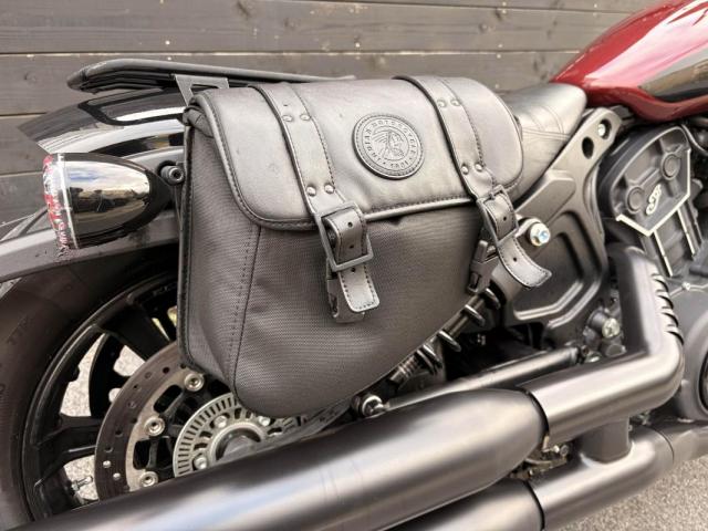 Indian Scout image 3