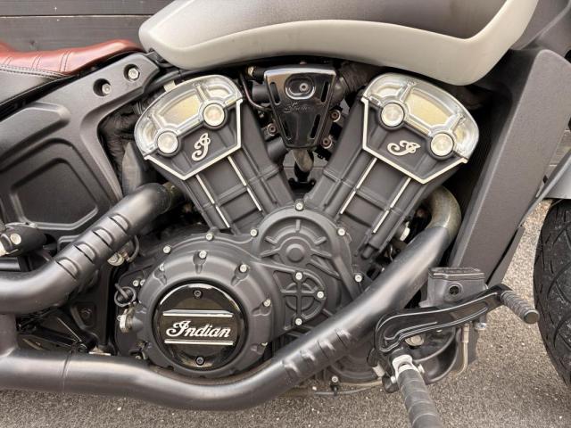 Indian Scout image 2