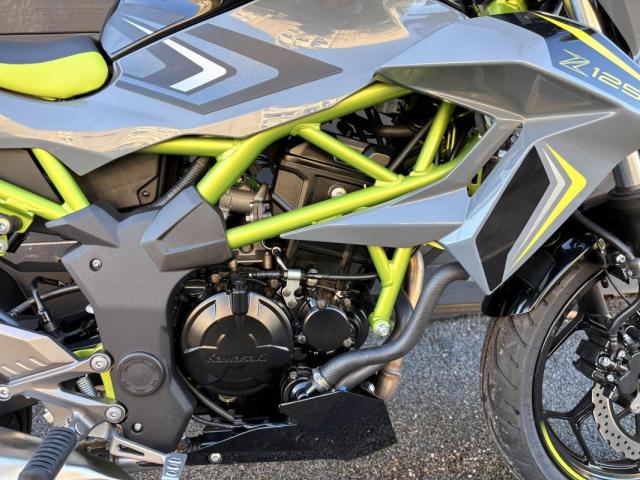 Z125 image 6