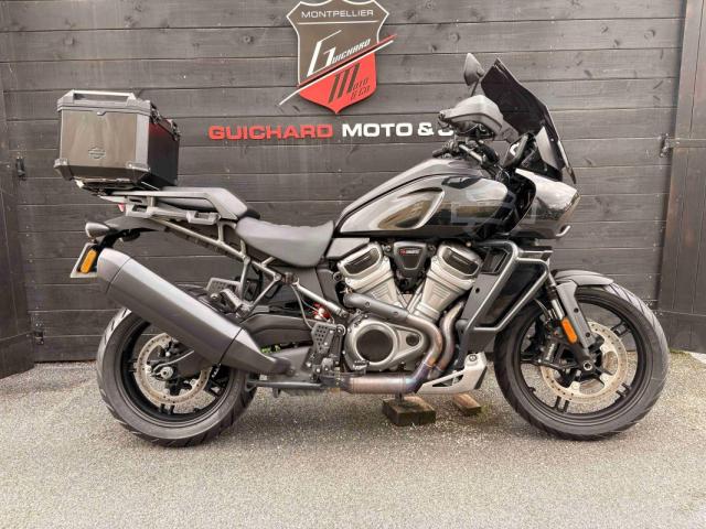 Harley Davidson Pan America 1250 Special 