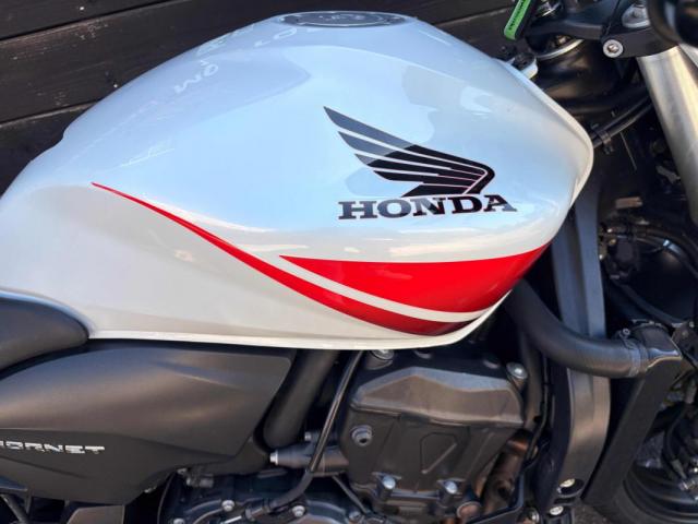 Hornet 600 image 5