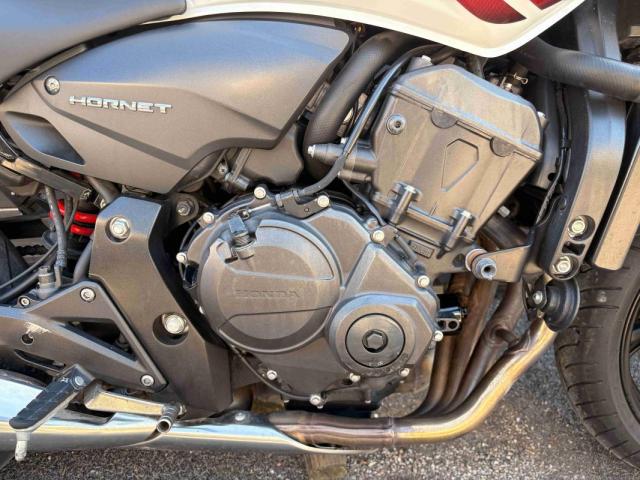 Hornet 600 image 8
