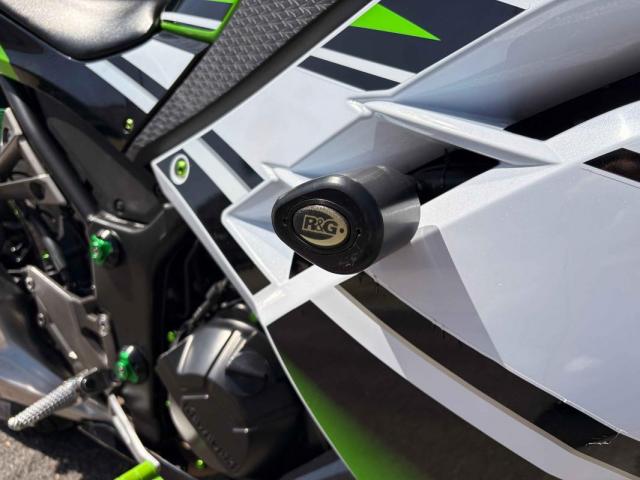 Ninja 300 image 3