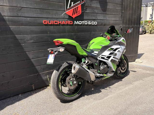 Ninja 300 image 7