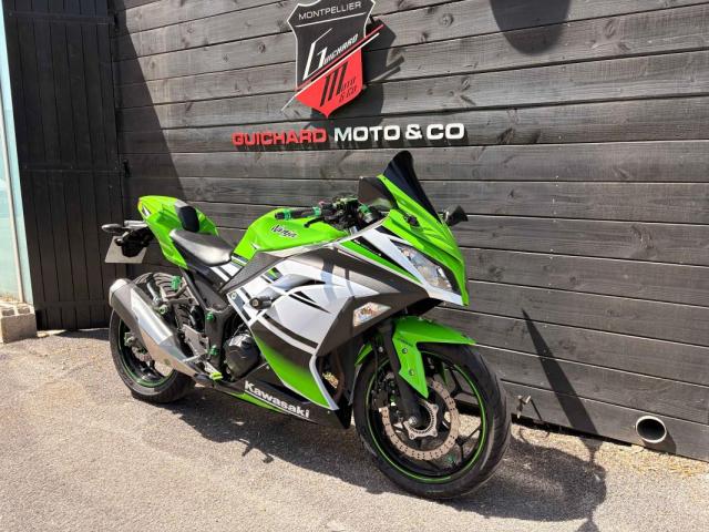 Ninja 300 image 4