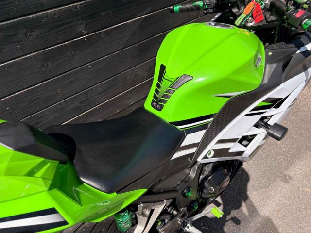 Ninja 300 image 5