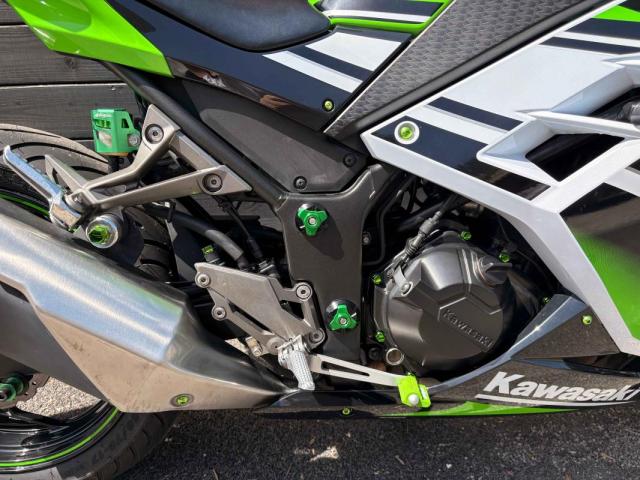 Ninja 300 image 1