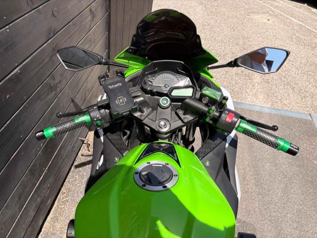 Ninja 300 image 9