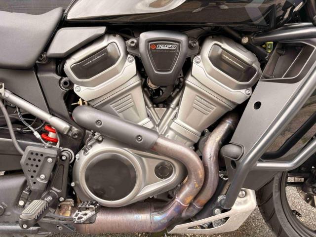 Harley Davidson Pan America 1250 Special image 1
