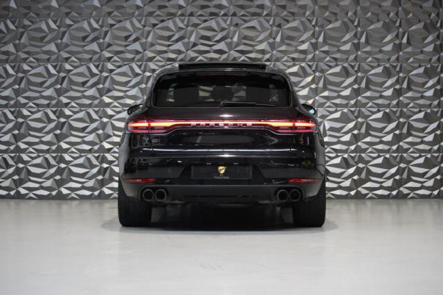 Macan image 5